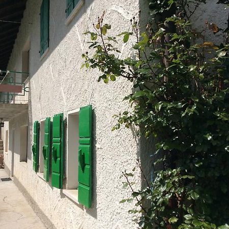 Casa Fiorellino Belluno Exterior photo